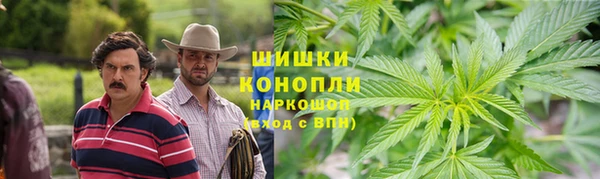мескалин Заводоуковск