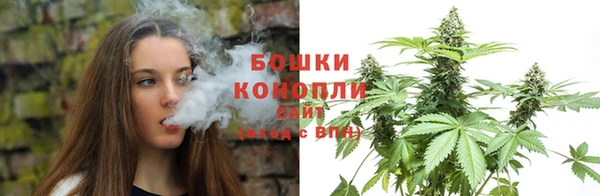 PSILOCYBIN Алзамай