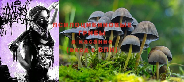 стаф Заволжск