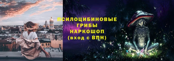 трава Карпинск